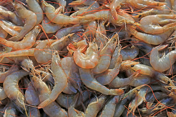 Fresh prawns stacked together