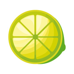 fresh half lemon fruit isolated icon