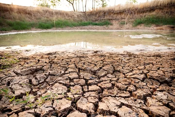 Foto op Canvas Cracked soil in the pond in summer season, drought in Thailand, climate change © nungning20