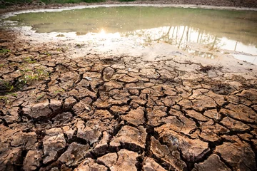 Fototapeten Cracked soil in the pond in summer season, drought in Thailand, climate change © nungning20