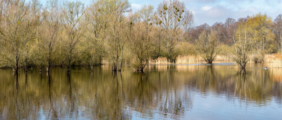 Naturparadies Auwald