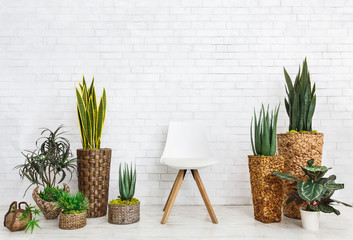 Home garden and chair on white background