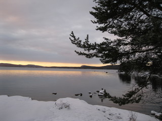 winter landscape with lake and snow