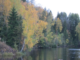 autumn
