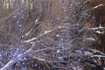 winter holiday garlands, lanterns