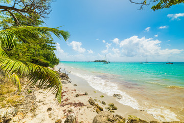 Turquoise water in La Datcha beach in Guadeloupe