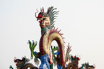 chinese dragon on white background