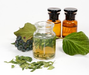 Efeu Tinktur Naturheilmittel