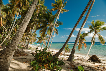 Fronton beach - Samana - Dominican Republic