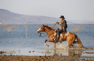 cowboy and horse  at first light,mountain, river and lifestyle with natural light background