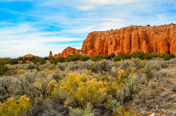 Fototapeta na wymiar Kochorme State Park Utah, brightly color arid desert landscape of souther utah with flowers and tumble weeds and orange mesa 