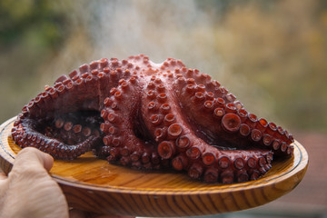 image of a cooked octopus © Guillermo