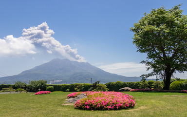 Beautiful Vulcan Sakurajima covered by green Landscape. Taken from the wonderful Sengan-en Garden....