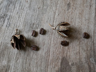 concept aroma coffee on wooden background