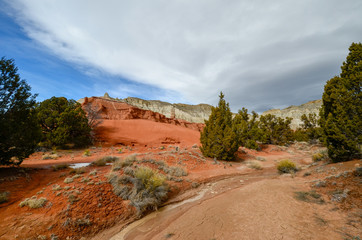 South Utah rocks and desert scrub 