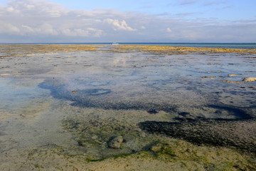 ocean shore after low tide