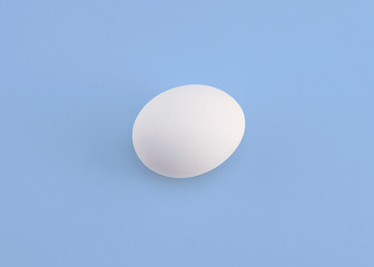 eggs on colour background