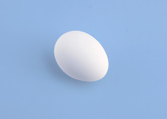 eggs on colour background