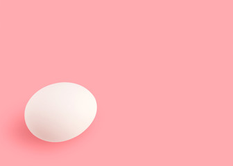 eggs on colour background