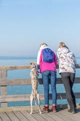 Hund als vollwertiges Familienmitglied