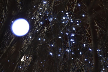 winter holiday garlands, lanterns