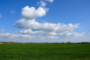 Fototapeta na wymiar Paysage de culture et ciel nuageux.