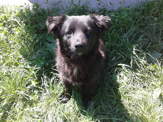 Waiting for the hosts