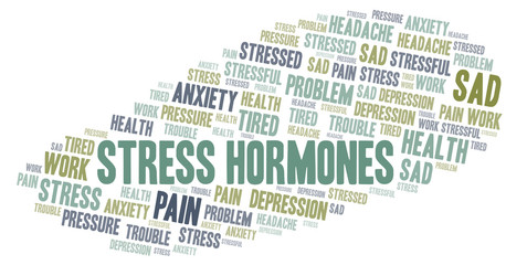 Stress Hormones word cloud.