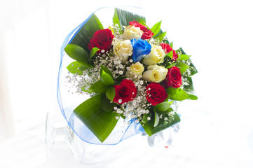 Coloured roses