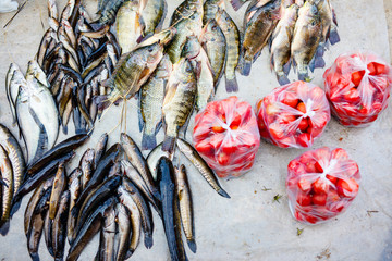 Seafood market in Myanmar