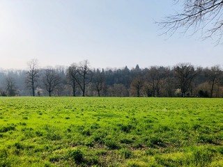 paisaje