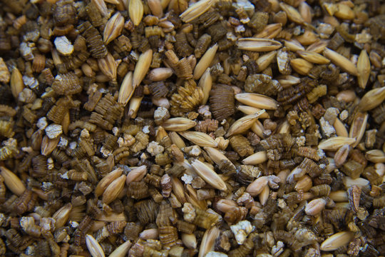 Dreamies Erba Gatta Cremosa 11x4x10g | Snack Per Gatti | Con Taurina | Senza Zuccheri Aggiunti - Foto 4