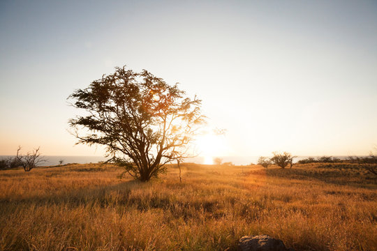 A sunset is view from Highway 270 on the Big Island of Hawaii.