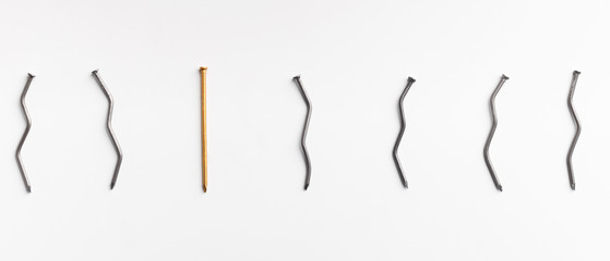 One golden nail among bent nails on white background.