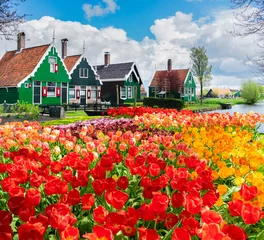 Fototapeten Altstadt von Zaanse Schans, Niederlande © neirfy