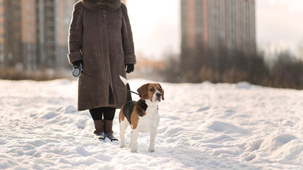Cheerful woman walking with a dog on a meadow in winter