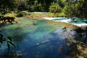 Obraz premium Cascade Agua Azul Chiapas Mexique - Agua Azul Waterfall Chiapas Mexico