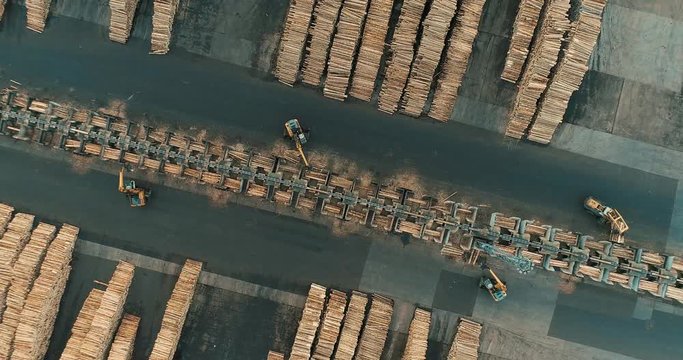 Rising above a sawmill yard with stacks of tree trunks