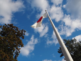 Blue sky and Japanese flag