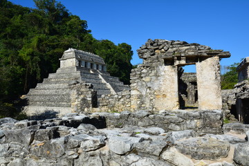 Fototapeta na wymiar Ruines Palenque Chiapas Mexique - Palenque Ruins Chiapas Mexico