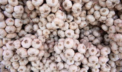 Close up white garlic background