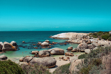 Fototapeta na wymiar boulder beach, simons town, cape town, south africa