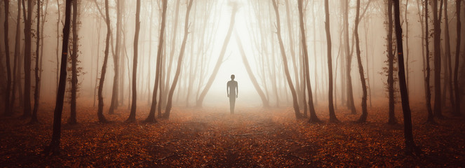 mysterious forest panorama with strange figure on magical road