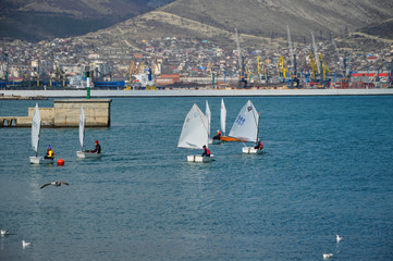 boats in the harbor