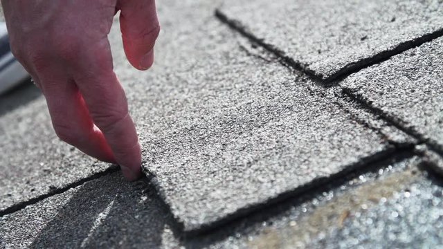 Roofing contractor showing old damaged asphalt shingles at residence