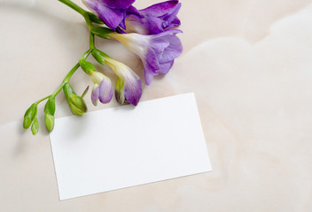 Flowers and blank paper card