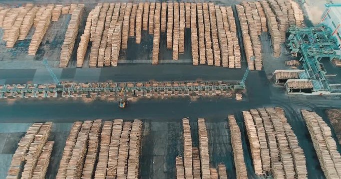 Panning above a sawmill yard with rows of stacked trunks