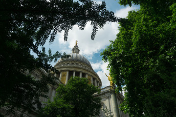 st paul's cathedral through the trees