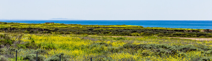 Fototapeta na wymiar panorama of coastline in Southern California