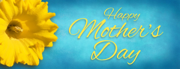 Daffodil Background - Happy Mother's Day